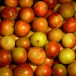 Gobierno Regional de Ucayali inicia proyecto para cultivar mil hectáreas más de camu camu