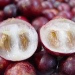Estado peruano debe promover el consumo nacional de camu camu para prevenir gripe porcina