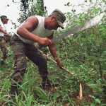 Director ejecutivo del CORAH resalta labores de erradicación