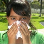 Recomendaciones para prevenir la Gripe Porcina