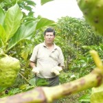 Industrialización de plantas medicinales podría generar fuente de ingreso para el VRAE