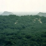 MINAM conservará bosques peruanos con S/. 400 millones de la cooperación internacional