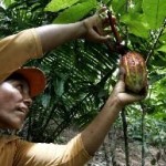Proponen impulsar ecoturismo y bionegocios para lograr competitividad de pobladores de San Martín