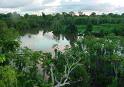 MINAM celebrará la Semana de la Biodiversidad con campañas de arborización y pasacalles