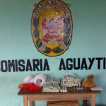 Allanan depósito de explosivos de Sendero Luminoso en la provincia de Padre Abad, en Ucayali