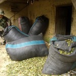 Policías de Cayumba decomisaron 151 kilos de hoja de coca en diversos operativos a vehículos