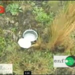 Testigo relata cómo agricultor de Sanabamba fue herido por mina