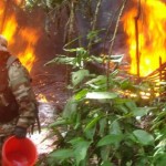 Policía antidrogas de Palmapampa destruyó cinco laboratorios de PBC en el VRAE
