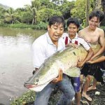 Acuicultura se consolida como propuesta económica decente en regiones convulsionadas de la selva alta