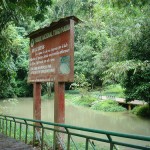 Parque Nacional de Tingo María cumple 44 años de creación como área natural protegida sin apoyo de instituciones