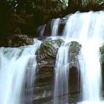 Opinan que habitantes de Tingo María necesitan despertar una mayor conciencia sobre contaminación ambiental