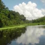 UNAS inaugura foro sobre desarrollo de la amazonía y preservación del medio ambiente