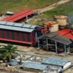 Resaltan esfuerzo de palmicultores de Tocache que inauguraron planta procesadora de aceite de palma