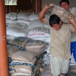 Productores del VRAE venderán al PRONAA 1,490 toneladas de arroz y 595 de frijol