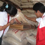 PRONAA comprará toneladas de fríjol castillo, grano seco y arroz a productores del VRAE
