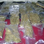 Intervienen conocido centro de microcomercialización de droga en Tingo María