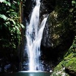 Piden concientizar a la población para que conozca la importancia de no depredar los recursos de la selva