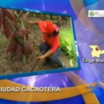 Gran final de Concurso Nacional del Cacao será en Tingo María