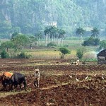 Agricultores víctimas del cambio climático de cinco regiones dieron su testimonio