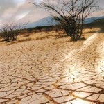 Realizarán foros y visitas de campo por el Día Mundial contra la Desertificación