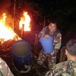 Policía destruyó tres laboratorios de elaboración de drogas cerca de Tingo María