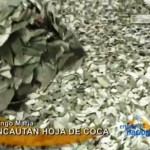 Incautan 250 kilos de hoja de coca en Tingo María