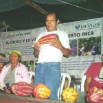 PDA promueve la producción de 100 hectáreas de cacao en distritos de Ucayali