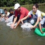 Laguna Los Milagros recupera vida tras la siembra de 5 mil peces alevinos en sus aguas