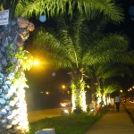 Municipio de Leoncio Prado mejora ornato de la ciudad con piletas y luces multicolores