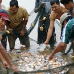 Repoblarán laguna Los Milagros en Tingo María con 5 mil alevinos de Paco y Gamitana