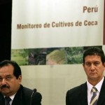 Cultivos de coca ilegal se incrementaron en 4,5% y alcanzaron las 56 mil hectáreas