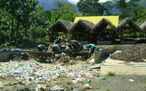 Abono orgánico sirve como fertilizante orgánico natural para recuperar terrenos degradados.