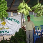 PDA capacitará a plataneros de Aguaytía en comercialización y exportación