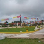 Cocaleros de Aguaytía no acatarían paro convocado en respaldo a nativos amazónicos