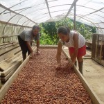 PDA y gobierno regional lideran desarrollo alternativo en Ucayali