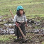 Para terminar con pobreza y trabajo infantil, Estado debe invertir más en educación y políticas sociales