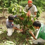 Autoridades ediles y funcionarios saludaron a agricultores del VRAE en el Día del Campesino