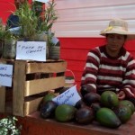 Junín invertirá 38 millones de soles en programa Mi Chacra Productiva e Instituto del Cacao