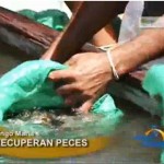 Repoblarán con cinco mil alevinos la laguna Los Milagros