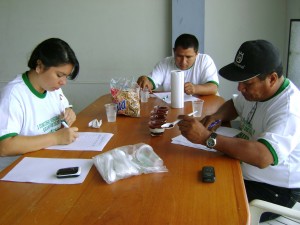cacao-tocache3 Dos organizaciones empataron en el tercer puesto