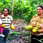 El éxito de la cooperativa agroindustrial Naranjillo