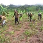 VRAE es el primer productor de cultivos ilegales de coca porque allí no hay erradicación