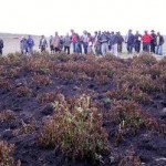 SENAMHI alerta presencia de heladas en Ayacucho y otras regiones de la sierra centro y sur