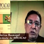 El III Concurso Nacional de cacao sigue calentando