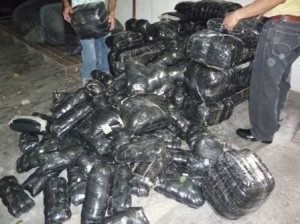 otra_vez_decomisan_300_kilos_de_coca_en_cayumba