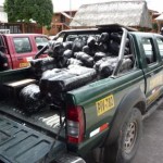 Policía decomisó 300 kilos de hoja de coca ilegal en Cayumba