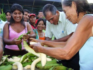 la-pelada-de-bellaco-mas-rapido-bajas La pelada del bellaco más rápido concitó atención en el IV Festival del Plátano 2009