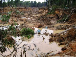 Por todsa la zona se podía observar una grave deforestación, árboles talados y grandes huecos por la extracción del oro 