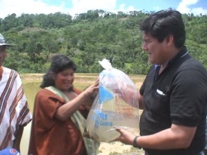 entrega-de-alevinos-de-paco Proyecto ha sido elaborado especialmente para las comunidades nativas