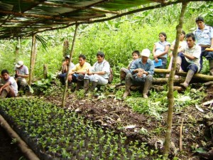 Se fortaleció destrezas, conocimientos y habilidades en la producción de cacao y café orgánico